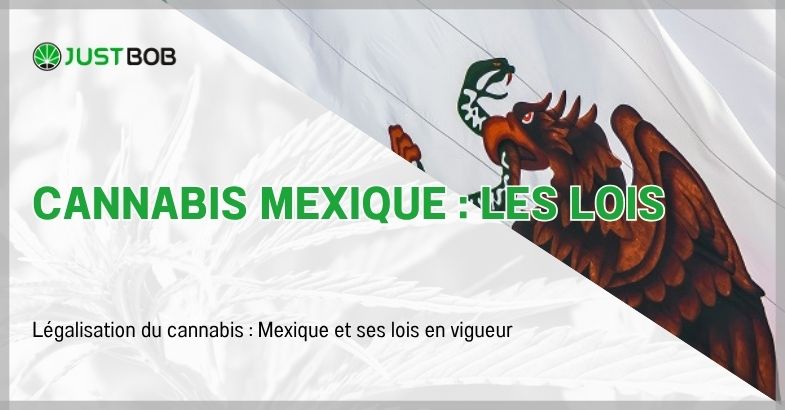 Cannabis Mexique : les lois