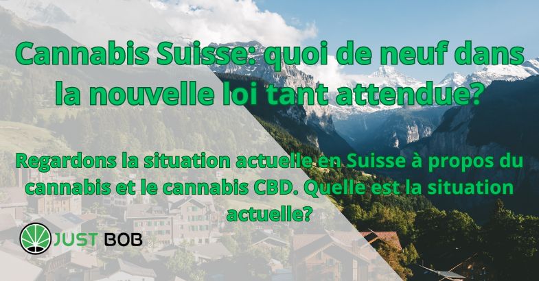 Cannabis Suisse: quoi de neuf dans la nouvelle loi tant attendue?