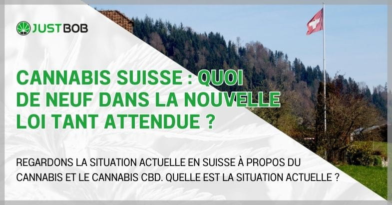 Cannabis Suisse : quoi de neuf dans la nouvelle loi tant attendue ?