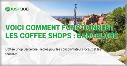 Voici comment fonctionnent les coffee shops : Barcelone