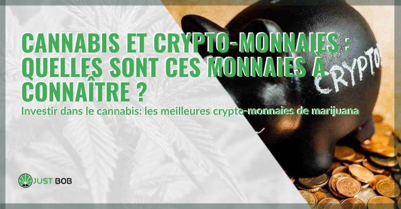 Les crypto-monnaies pour investir dans le cannabis : voici ce qu'elles sont.