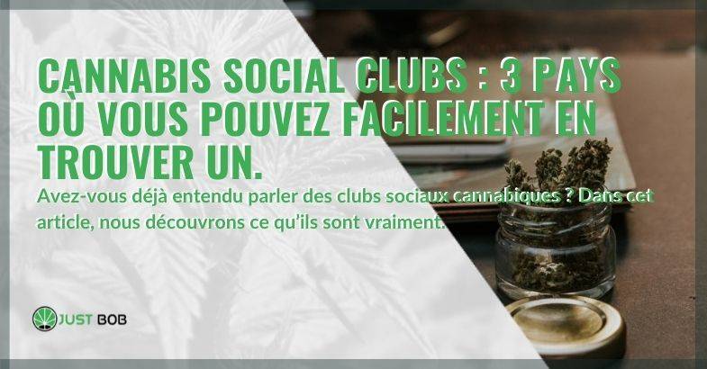 Que sont les clubs sociaux du cannabis et dans quels pays en trouve-t-on ?