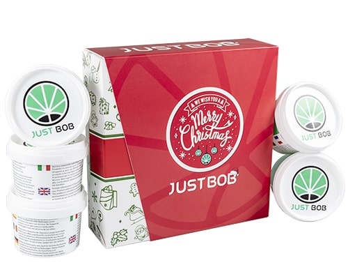 JustBob Kit Xmas Platinum Cannabis Light