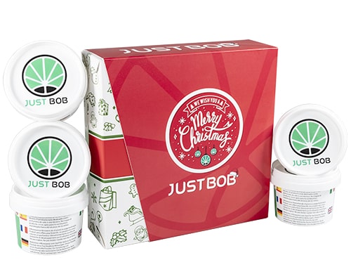 Kit Xmas Gold JustBob CBD
