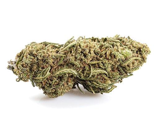 Lemon Cheese Fleur CBD