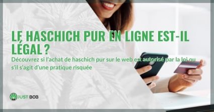 L'achat de haschisch pur en ligne est-il légal ?