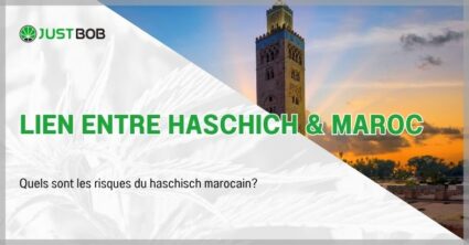Lien entre haschich & Maroc