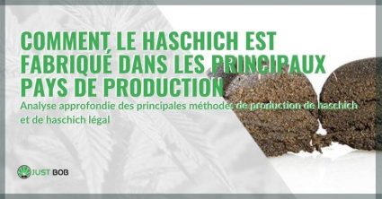 Principales méthodes de production du haschisch