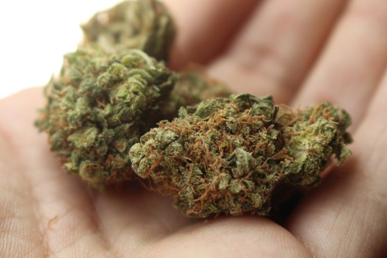 Banalisation de la consommation de cannabis