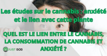 Les études sur le cannabis : anxiété et le lien avec cette plante