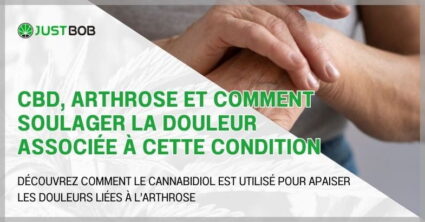 CBD, arthrose et comment soulager la douleur associée à cette condition