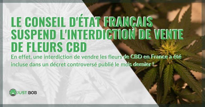 Cour de France suspend l'interdiction de la vente de fleurs de CBD