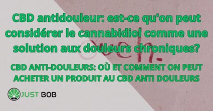 Le CBD antidouleur