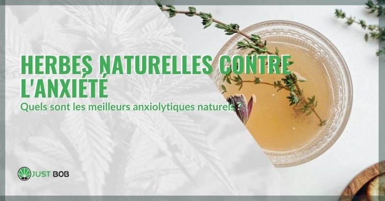 Quels sont les meilleurs médicaments naturels contre l'anxiété ?