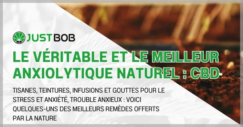 anxiolitique-naturel Le véritable et le meilleur anxiolytique naturel : CBD