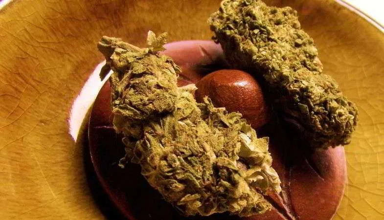 Deux inflorescences séchées de chanvre CBD européen et boule de haschich sur assiette en bois sombre, matière première et dérive pressé