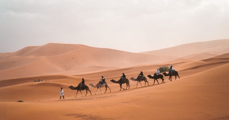 Désert d'Arabie