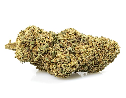 Fleurs CBD melon Kush
