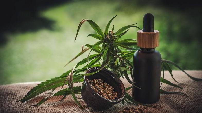 Cannabis et huile de CBD