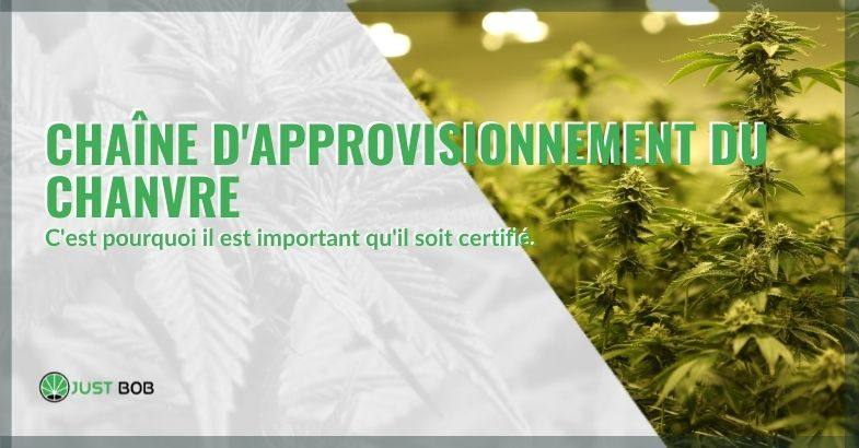 L'importance de la certification de la chaîne d'approvisionnement en chanvre