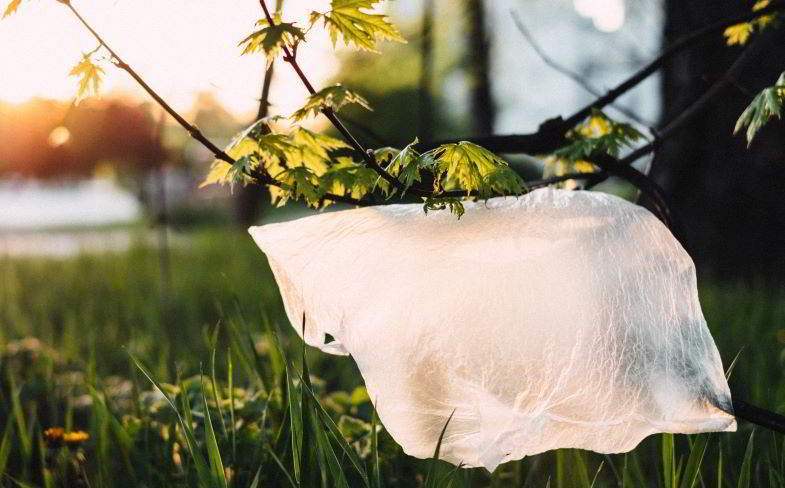 La pollution plastique