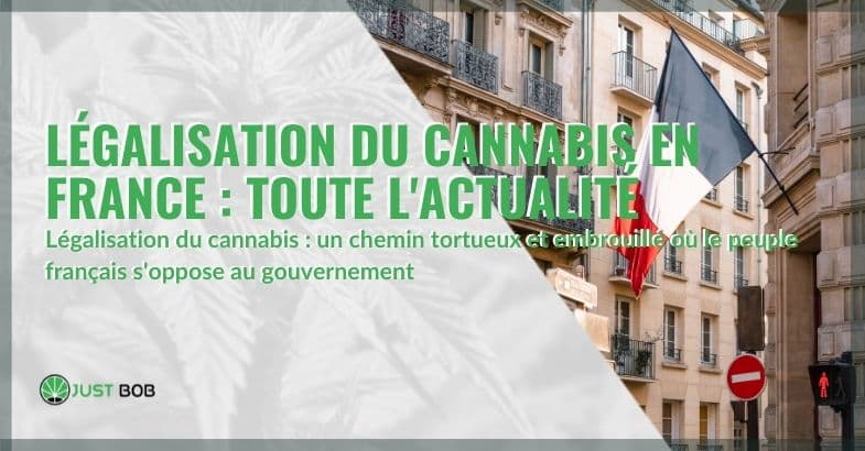Actualités sur la légalisation du cannabis en France