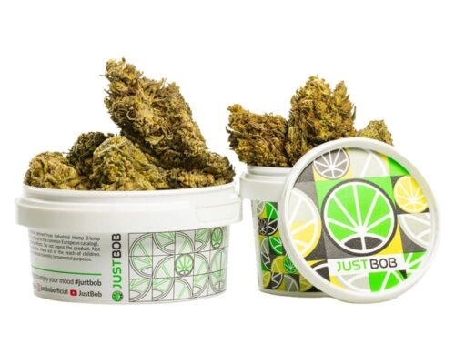 Fleurs CBD AK47 CBD BOOST de Cannabis Light dans un conteneur blanc