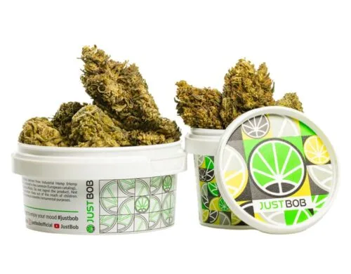 Fleurs CBD AK47 CBD BOOST de Cannabis Light dans un conteneur blanc