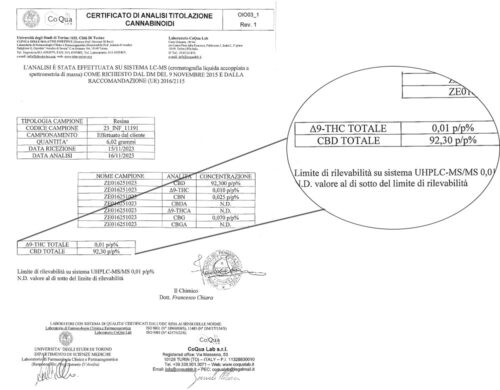 taux de cannabidiol et thc du shatter cbd gorilla