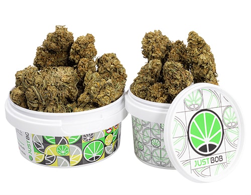 boite cannabis cbd outdoor mix