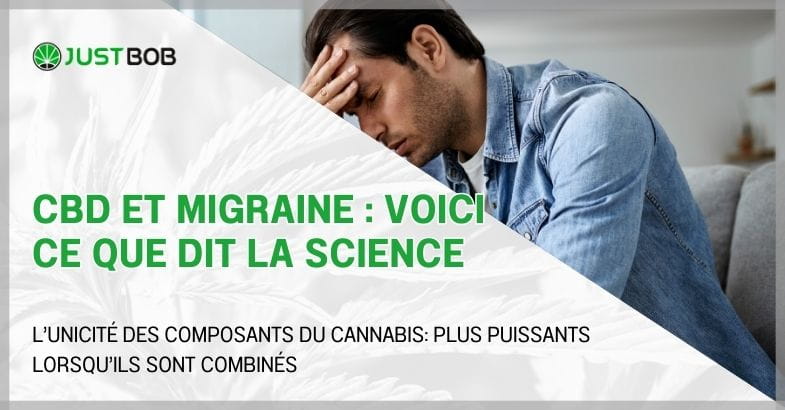 CBD et migraine : voici ce que dit la science