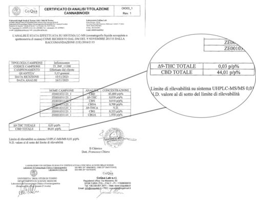 certificat d'analyse du produit de cannabis cbd ak47