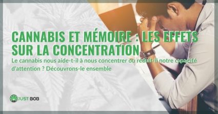 Les effets du cannabis sur la mémoire et la concentration