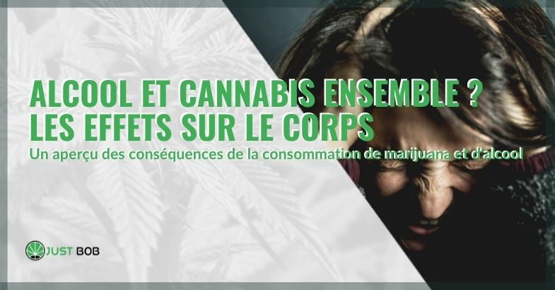 Conséquences de la consommation d'alcool et de cannabis sur l'organisme