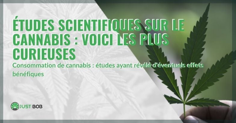 Les études scientifiques les plus curieuses sur le cannabis