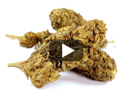 outdoor-mix-cbd-legal-france