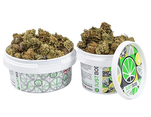 pot california small cannabis cbd