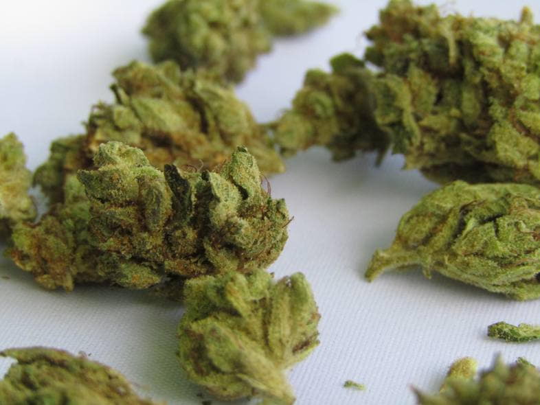 Cannabis dont le THC est inférieur à 0,3 %.