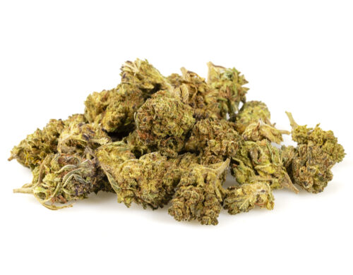 HQ cbd boost fleurs cbd small buds