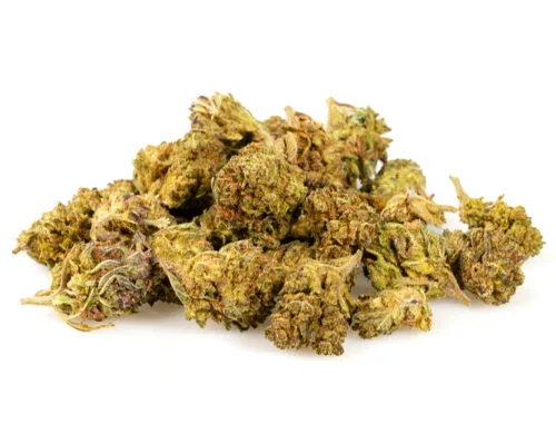 HQ cbd boost fleurs cbd small buds