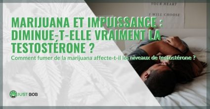 La marijuana fait-elle baisser la testostérone et provoque-t-elle l'impuissance ?