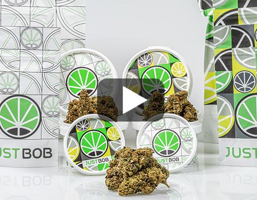 Sweet_Berry_Video