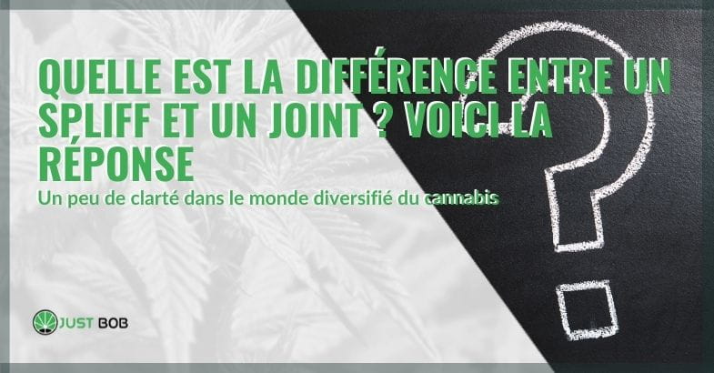 Voici la différence entre un spliff et un joint.