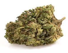 ak47-cbd-boost-small-fleurs-cbd