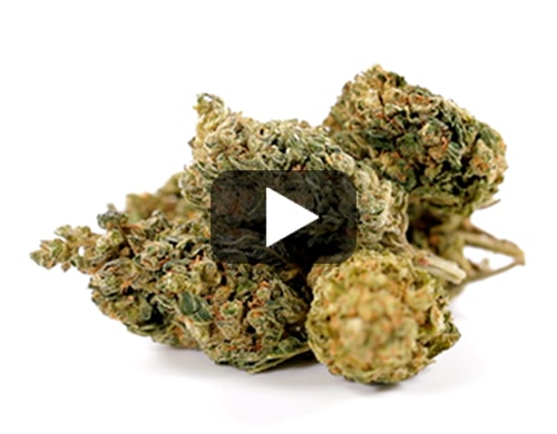 cbd-france-HQ-cbd-boost