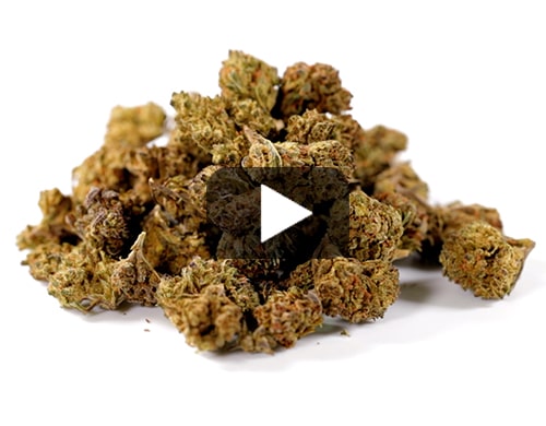 petit-fleurs-cbd-de-HQ-cbd-boost