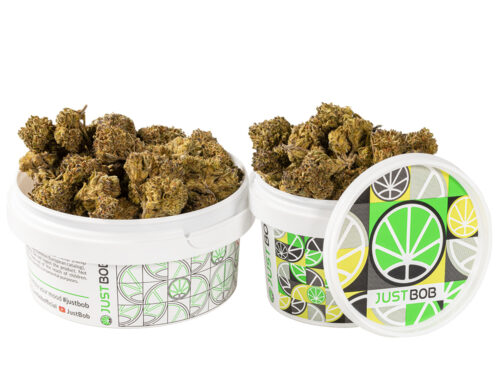 pot avec petit fleurs cbd de HQ cbd boost