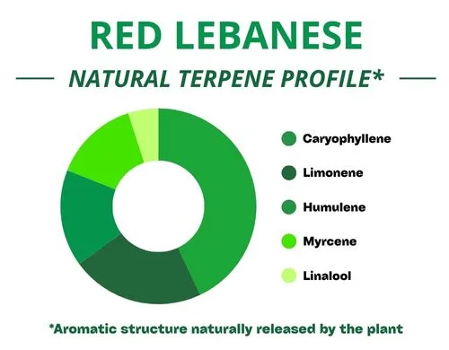 Diagramme circulaire du profil terpénique de la variété Red Lebanse