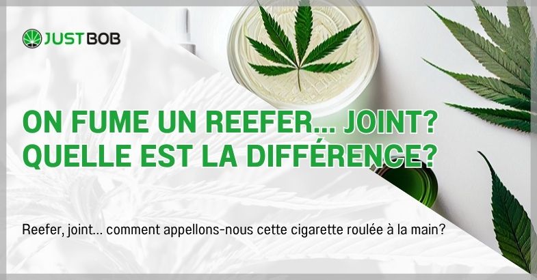 On fume un reefer... joint? Quelle est la différence?