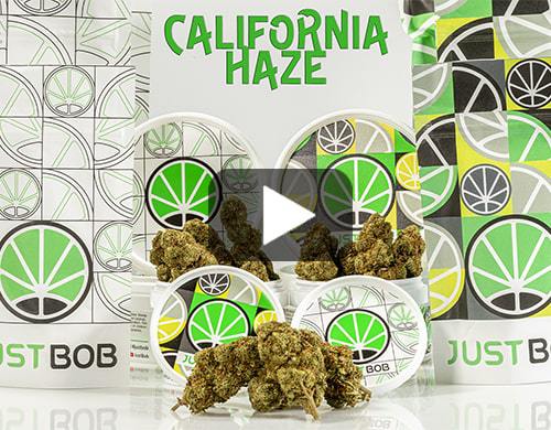 california-haze-video-fleur-de-cbd